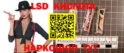 СК Краснокаменск