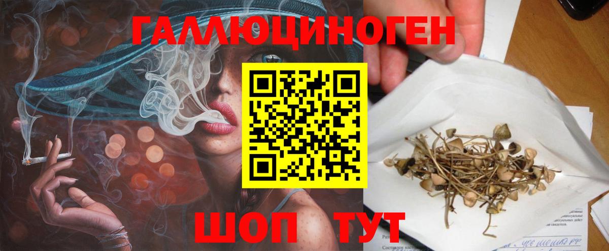 Галлюциногенные грибы Magic Shrooms  где найти   Ишим  Вход с VPN 